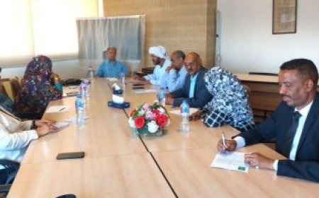 رئيس مبادرة وطن يلتقي عضو المجلس المصري للشؤون الخارجية