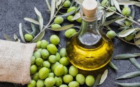 تعرف على..  فوائد زيت الزيتون