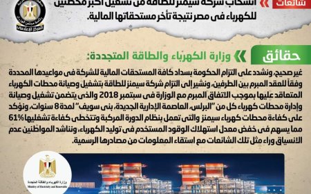 الحكومة تنفي انسحاب شركة سيمنز للطاقة من مصر