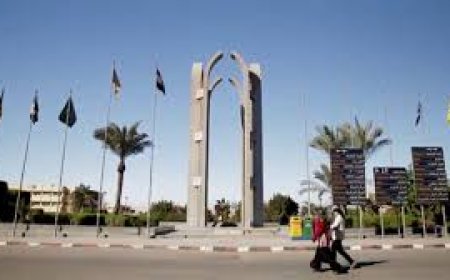 تنسيق الجامعات..  تعرف على برنامج شعبة اللغات  بكلية التجارة وإدارة الأعمال جامعة حلوان