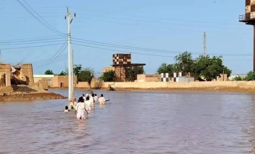 انفراد.. سياسي سوداني يؤكد لـ «وادي النيل» الوضع الحالي في طوكر ينذر بكارثة بيئية خطيرة