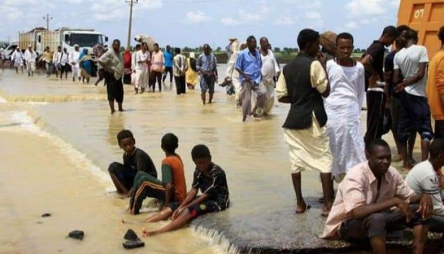 الهجرة الدولية: نزوح نحو 6 آلاف شخص في السودان خلال أسبوع بسبب السيول والفيضانات