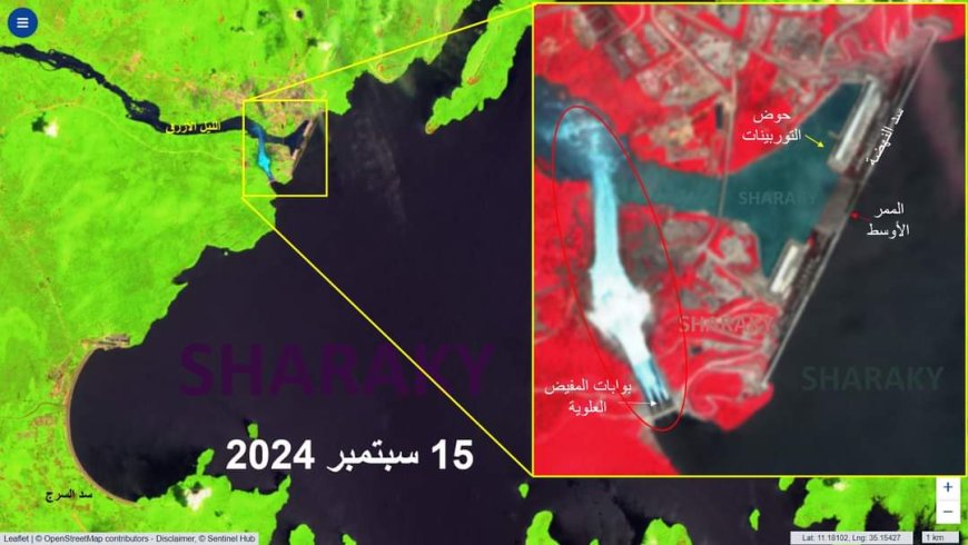 شراقي:  تدفق مياه النيل الأزرق من سد النهضة إلى السد العالي بعد توقف التوربينات