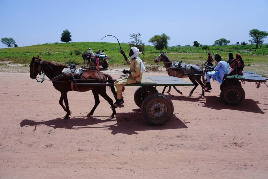 الأمم المتحدة: تصاعد العنف في السودان يفاقم الأزمة الإنسانية ويهدد حياة الآلاف