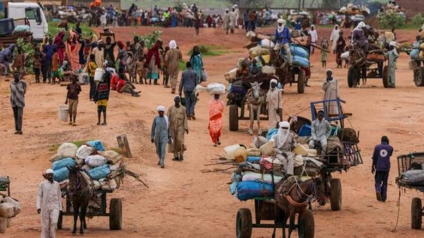 14.5 مليون نازح ولاجئ بسبب النزاع في السودان