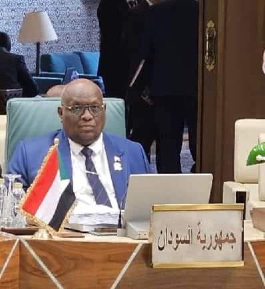 وزير العدل السوداني يطالب مجلس وزراء العدل العرب بإدانة انتهاكات قوات الدعم السريع المتمردة