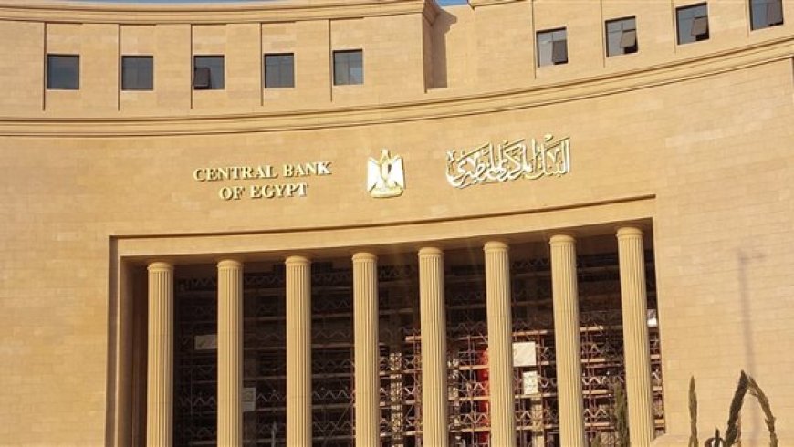 البنك المركزي المصري: تحويلات المصريين بالخارج تقفز 51.3% خلال 2024