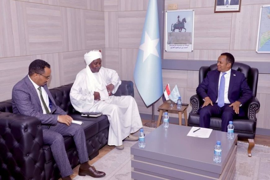 مباحثات سودانية صومالية لتعزيز العلاقات الثنائية