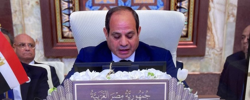 السيسي يعلن اعتزام مصر تنظيم مؤتمر دولي لإعمار غزة ويدعو لانسحاب إسرائيل من الجنوب اللبناني