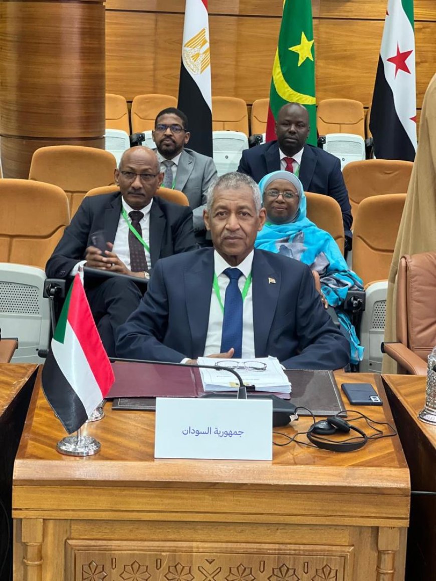 المندوب الدائم لجمهورية السودان لدى جامعة الدول العربية يخاطب أعمال الدورة 20 لاجتماعات كبار المسؤولين لمنتدى التعاون العربي الصيني