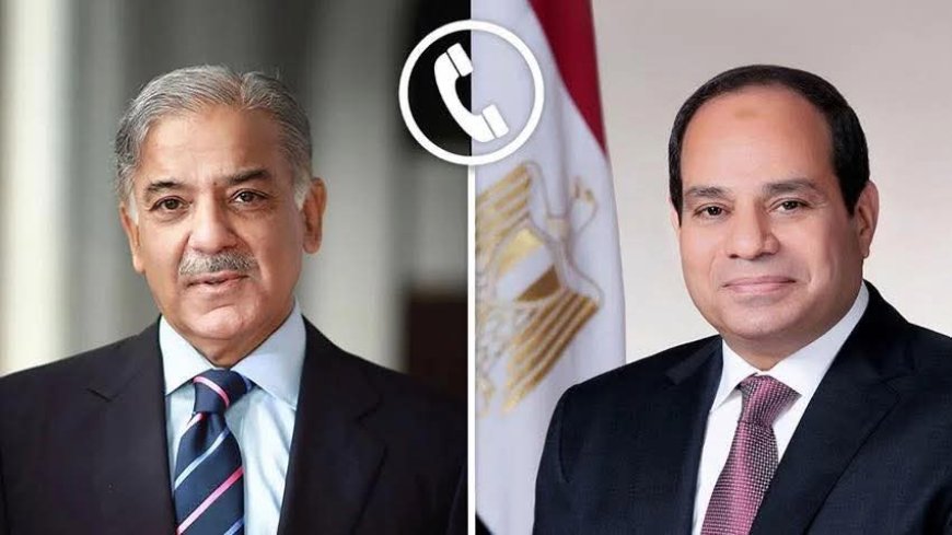 الاتصال الهاتفي بين الرئيس السيسي ورئيس وزراء باكستان يعزز أواصر التعاون ويؤكد على التنسيق الإقليمي