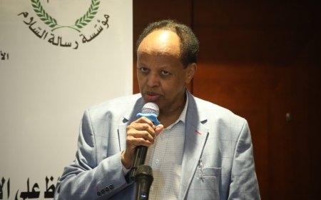 محمد شيخ حسن: عضَّوا علي أوطانكم بالنواجز.. ولا تصدقوا الأكاذيب ودعوات التخريب