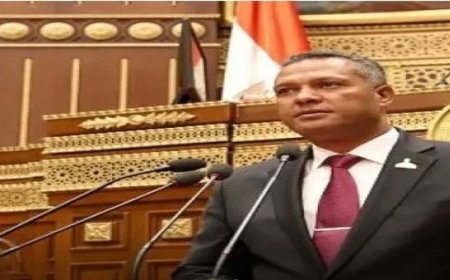 النائب محمد حمزة: كلمة الرئيس في إفطار الأسرة المصرية وضعت خريطة طريق لمواجهة التحديات وترسيخ وحدة الصف الوطني