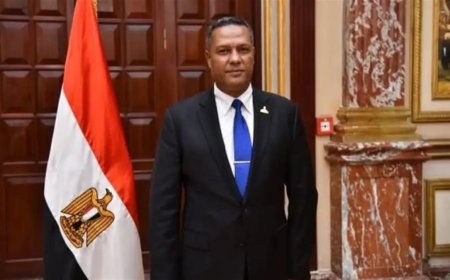 النائب محمد حمزة: جولات السيسي الخليجية رسالة قوة وردع.. ومصر تتحرك لحماية الأمن العربي