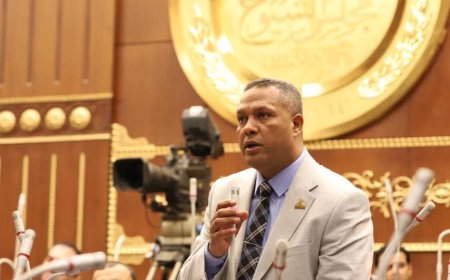 النائب محمد حمزة: توجيهات الرئيس بقوانين الأسرة تعيد الانضباط للعلاقات الأسرية وتحمي الأجيال القادمة