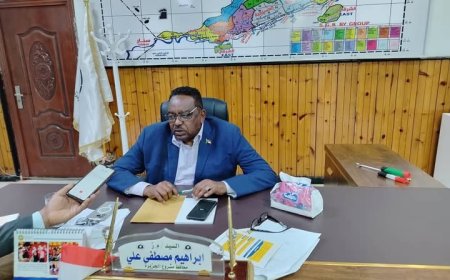 استهدف زراعة 1.6 مليون فدان بالجزيرة الموسم القادم