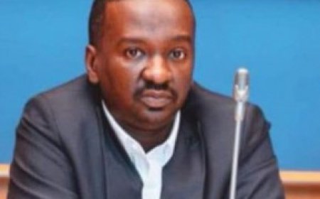 عبدالناصر سلم: مؤتمر برلين لن ينجح دون احترام سيادة الدولة السودانية وإشراكها في الحل