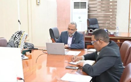 المجلس الاستشاري لوزير الصحة يناقش مبادرة "دحر الملاريا" والتحول الرقمي