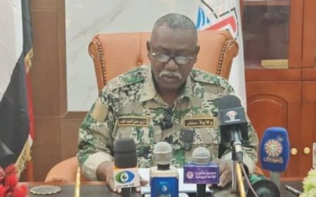 إعلان نتيجة امتحانات الشهادة الابتدائية بولاية سنار بنسبة نجاح 78.9%