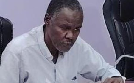 مدير المشاريع المروية بسنار يلتقي مزارعي شمال الخزان