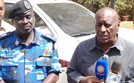 والي الجزيرة يدشن حملة حصر وتفتيش وتصنيف الشقق