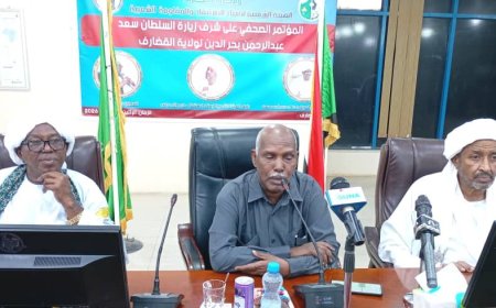 سلطان دار مساليت يؤكد إصابة المليشيا بالضعف ويدعو الشباب للدفاع عن السودان