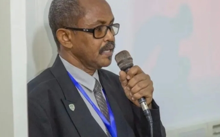 محمد الأمين أبوزيد يكتب.. مالى الوجه الآخر للحكم العسكرى المأزوم