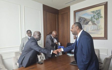 مستشار البرهان يجتمع مع سفراء الدول الإفريقية الأعضاء بمجلس الأمن الدولي