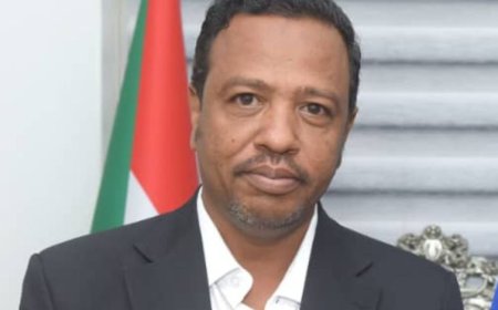 د/ مامون علي فرح  يكتب.. نهضة مصر: أيادٍ وطنية تصنع الإعجاب وتمد العون للأشقاء