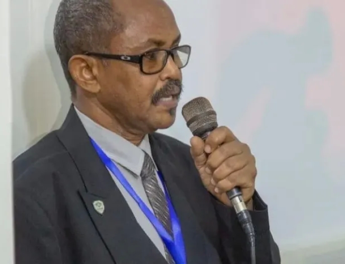 محمد الأمين أبوزيد يكتب.. مالى الوجه الآخر للحكم العسكرى المأزوم