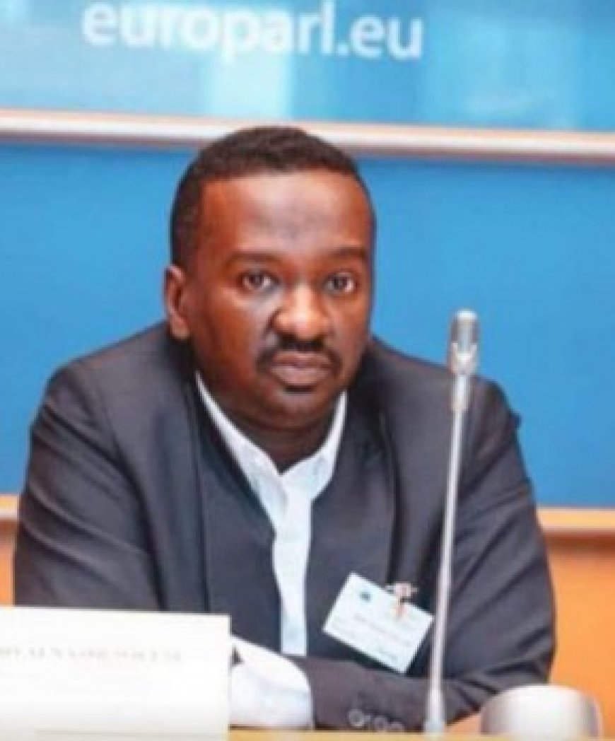 عبدالناصر سلم: مؤتمر برلين لن ينجح دون احترام سيادة الدولة السودانية وإشراكها في الحل