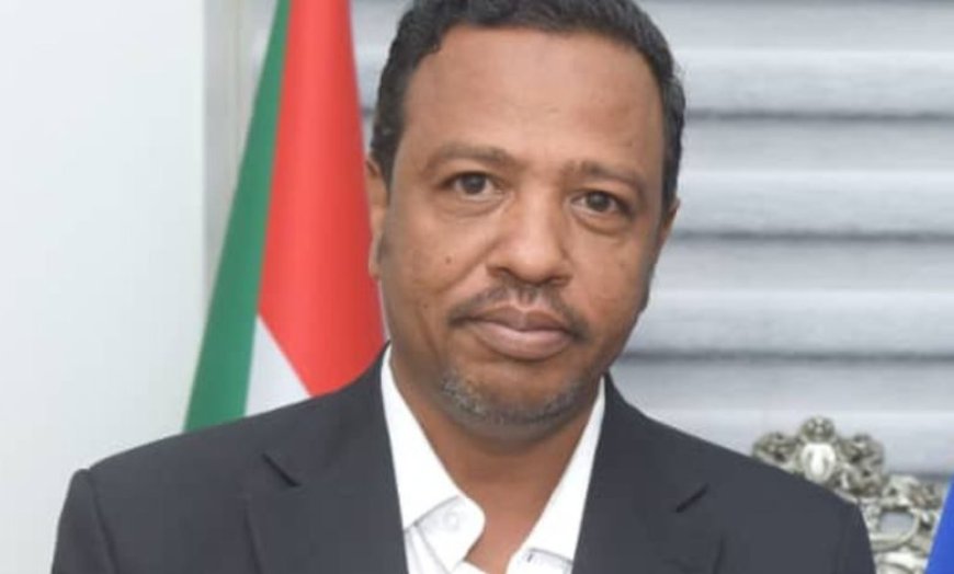 د/ مامون علي فرح  يكتب.. نهضة مصر: أيادٍ وطنية تصنع الإعجاب وتمد العون للأشقاء