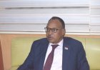 وزير الشباب والرياضة يُصدر قرارًا بتشكيل مجلس إدارة صندوق دعم الأنشطة الشبابية والرياضية