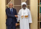 وزير المالية يبحث مع رئيس البنك الأفريقي للتنمية دعم جهود إعادة الإعمار وتعزيز القطاع الزراعي