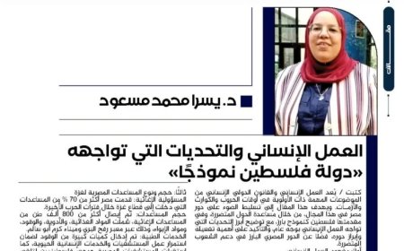 د. يسرا محمد مسعود تكتب.. العمل الإنساني والتحديات التي تواجهه “دولة فلسطين نموذجًا”
