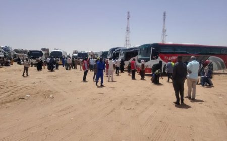 استئناف حركة العودة الطوعية عبر معبر أشكيت بوصول 1400 سوداني