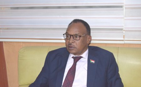 وزير الشباب والرياضة يُصدر قرارًا بتشكيل مجلس إدارة صندوق دعم الأنشطة الشبابية والرياضية