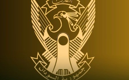 القوات المسلحة تسقط مسيَّرة معادية قرب الدمازين عبرت الحدود من اتجاه إثيوبيا