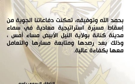 الدفاعات الجوية تسقط مسيّرة استراتيجية معادية في مدينة كنانة بولاية النيل الأبيض