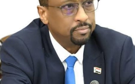 بيان حول الانتهاكات المروعة التي ارتكبتها ميليشيا الدعم السريع المتمردة في محلية بارا الكبرى بولاية شمال كردفان