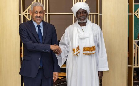 وزير المالية يبحث مع رئيس البنك الأفريقي للتنمية دعم جهود إعادة الإعمار وتعزيز القطاع الزراعي