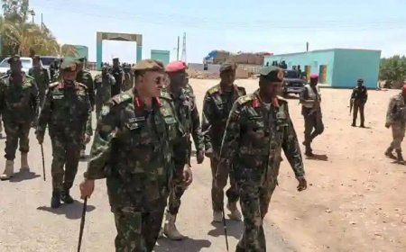قائد الفرقة 19 مشاة يتفقد جاهزية القوات في قطاع الدبة العملياتي