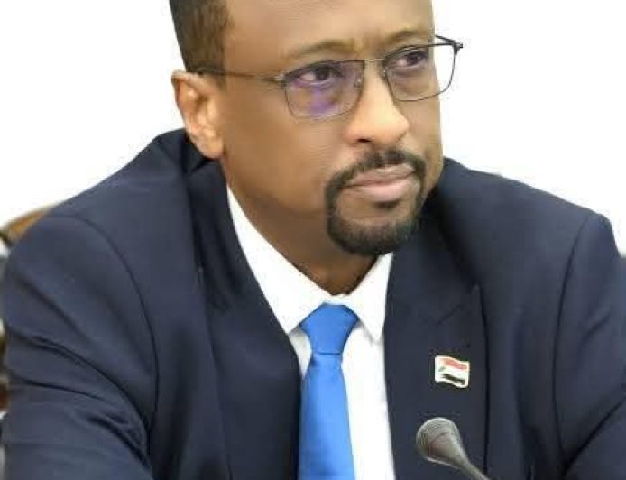 بيان حول الانتهاكات المروعة التي ارتكبتها ميليشيا الدعم السريع المتمردة في محلية بارا الكبرى بولاية شمال كردفان