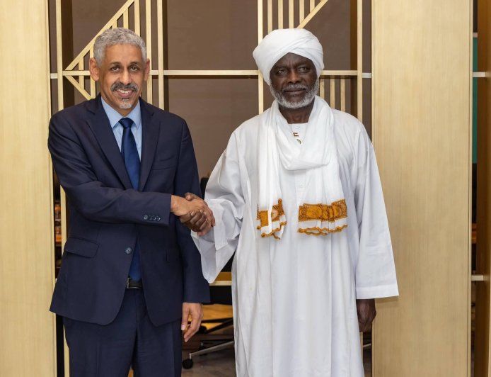 وزير المالية يبحث مع رئيس البنك الأفريقي للتنمية دعم جهود إعادة الإعمار وتعزيز القطاع الزراعي