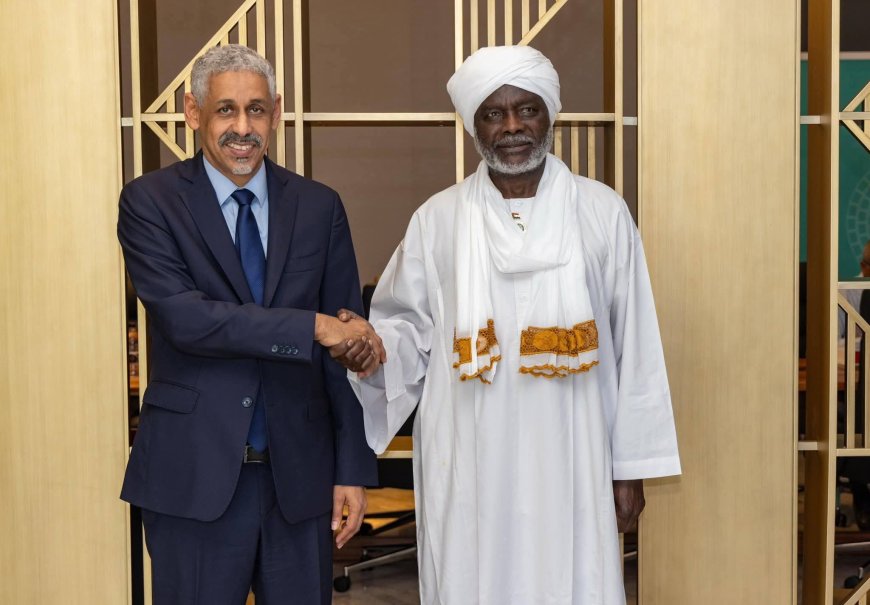 وزير المالية يبحث مع رئيس البنك الأفريقي للتنمية دعم جهود إعادة الإعمار وتعزيز القطاع الزراعي