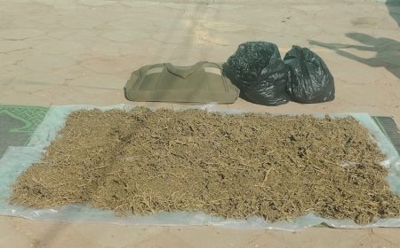 تفاصيل ضبط كمية كبيرة من المخدرات في الجزيرة