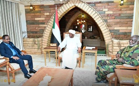 اجتماع موسع لرئيس الوزراء يناقش قضايا تنظيم قطاع التعدين ومكافحة التهريب والمخدرات