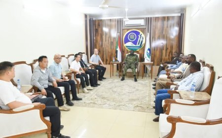 حاكم النيل الازرق يستقبل وفد الشركات الصينية