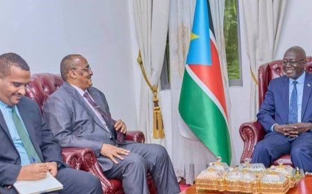 السودان وجنوب السودان يبحثان بجوبا تعزيز التعاون الاقتصادي وتوسيع فرص الاستثمار