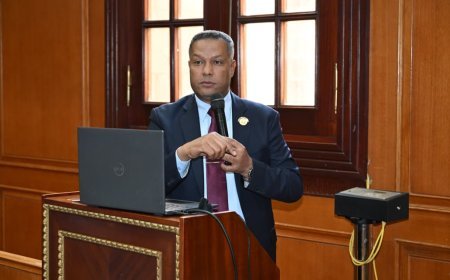 لجنة الإسكان بالشيوخ توافق على مقترح النائب محمد حمزة لإنارة الطريق الدائري والمحاور الحيوية بالإسكندرية.. والتنفيذ من  يوليو المقبل